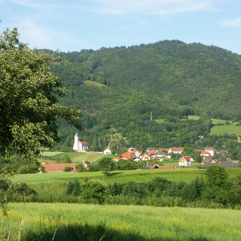Blick ins Grüne, Gasthof Weißes Rössl, Mühldorf/Wachau